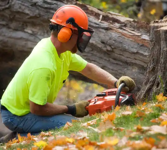 tree services Mount Orab